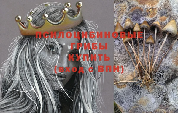 Альфа ПВП Покровск