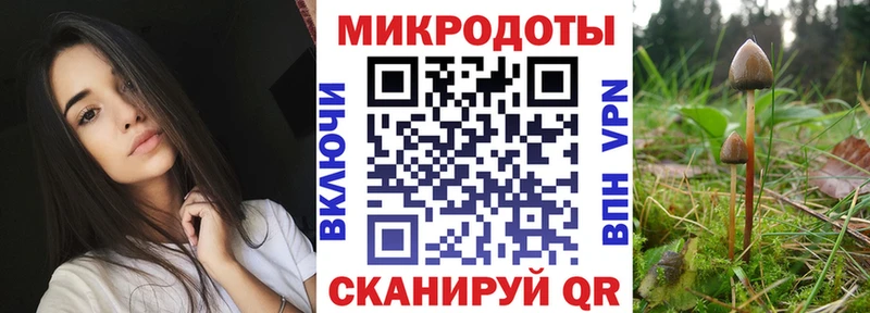 Купить  Сосновый Бор  Галлюциногенные грибы MAGIC MUSHROOMS 